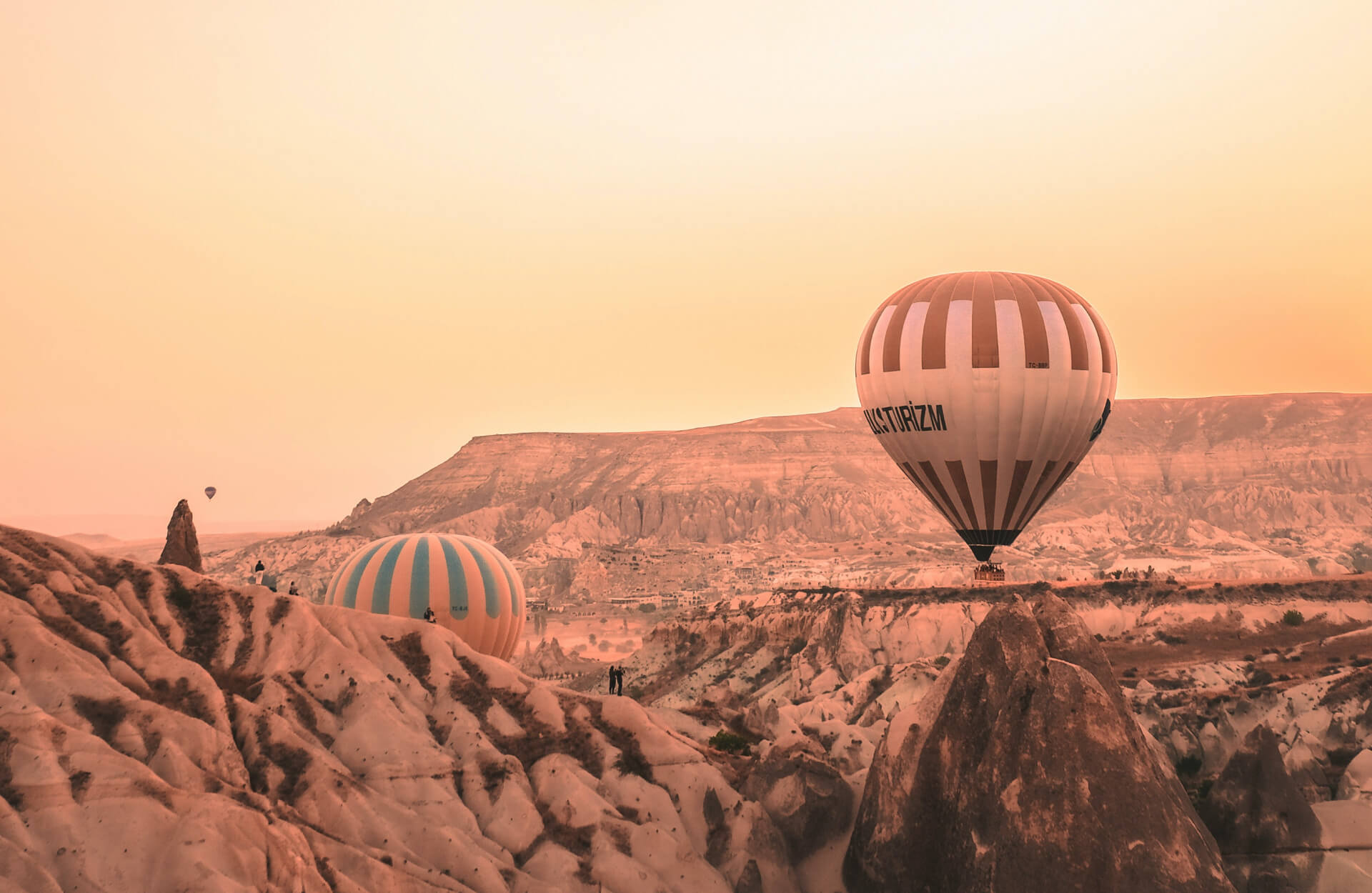 শিক্ষার্থী, শিক্ষক ও কর্মচারীর হাজিরা